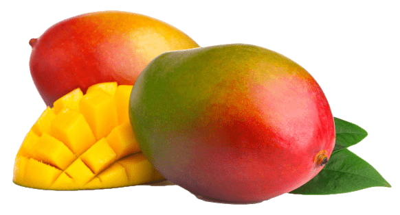 venta de mango al por mayor